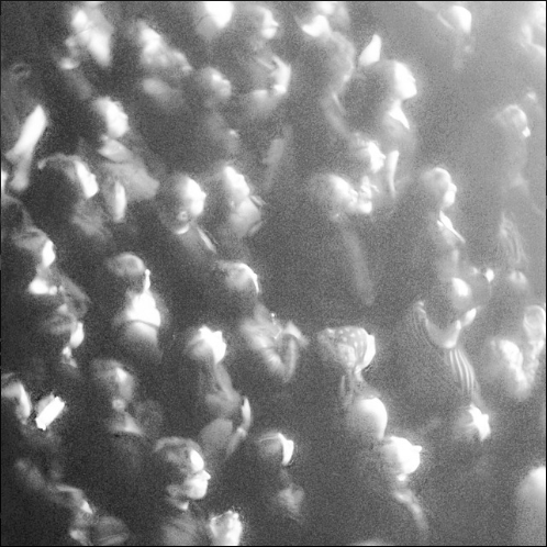 sunbreather’s latest album- Dust Settles